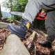 chaussure PROTECTOR ALPIN S2 HRO HI CI WR SRA