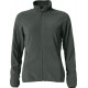 Gris anthracite