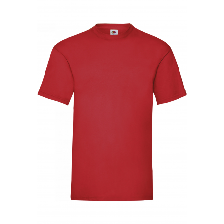 TEE SHIRT SC221 COULEUR